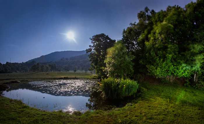foto della galleria immagini di fausto argomento: Riflessi notturni