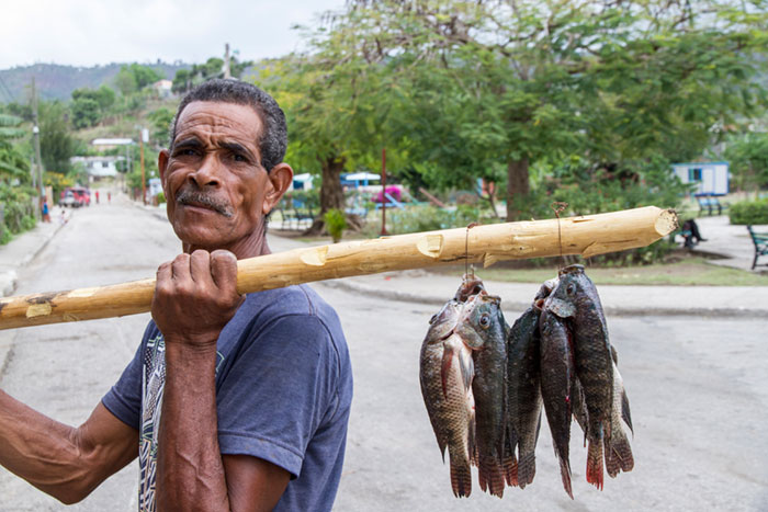 foto della galleria immagini di fausto argomento: Cuba