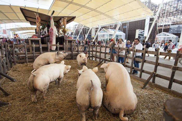 foto della galleria immagini di fausto argomento: Milano EXPO2015