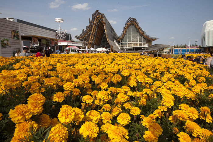 foto della galleria immagini di fausto argomento: Milano EXPO2015