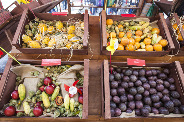 foto della galleria immagini di fausto argomento: Milano EXPO2015