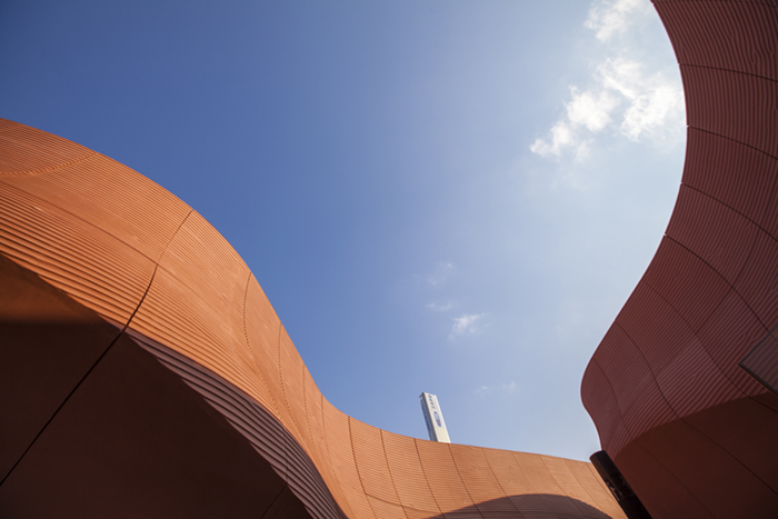 foto della galleria immagini di fausto argomento: Milano EXPO2015