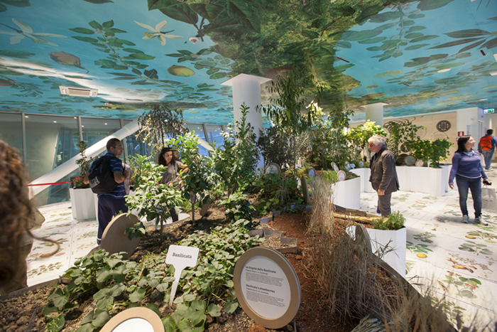 foto della galleria immagini di fausto argomento: Milano EXPO2015