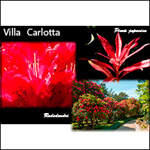 mostra 2019 - fotografo Augusto - Villa Carlotta