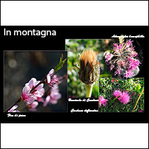 mostra 2019 - fotografo Augusto - montagna